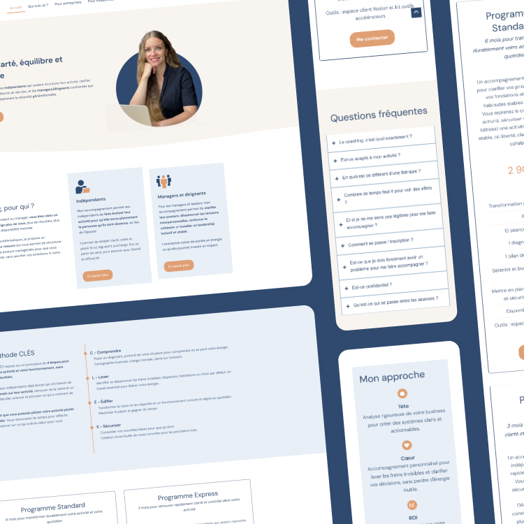 Photo du site internet de Laura Maitrejean